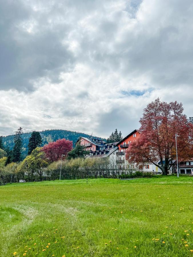 Prokop Daire Železná Ruda Dış mekan fotoğraf