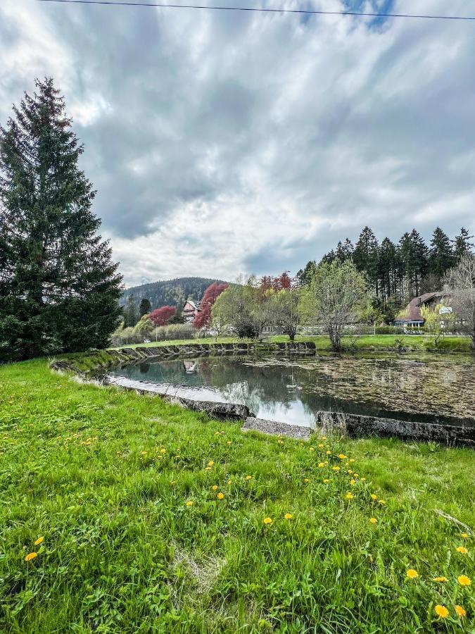 Prokop Daire Železná Ruda Dış mekan fotoğraf